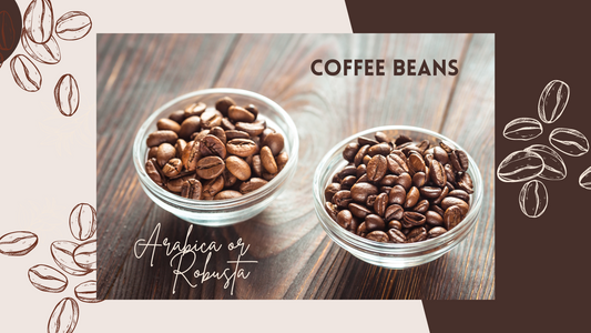 What is the difference between Arabica and Robusta